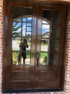 painting contractor Bella Vista before and after photo 1754512692748_4CB2DD93-